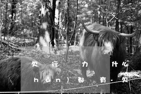 欠銀行錢無力償還什么財(cái)產(chǎn)都沒有-欠銀行錢無力償還什么財(cái)產(chǎn)都沒有怎么辦