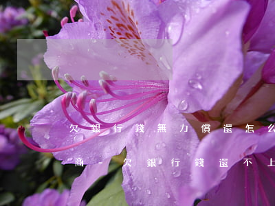 欠銀行錢無力償還怎么跟銀行協(xié)商-欠銀行錢還不上如何協(xié)商