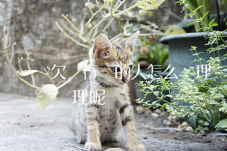 欠銀行錢的人怎么處理-欠銀行錢的人怎么處理呢