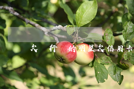 欠銀行錢的明星 欠信用卡的明星