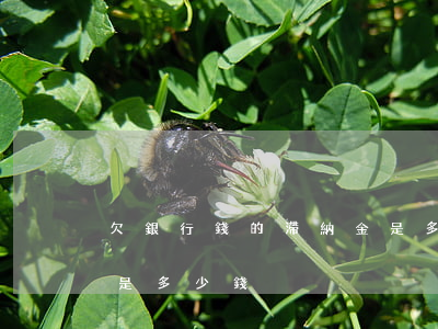 欠銀行錢的滯納金是多少(欠銀行錢的滯納金是多少錢)