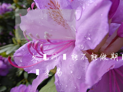 欠銀行錢能不能做期貨(欠銀行錢能不能做期貨交易)