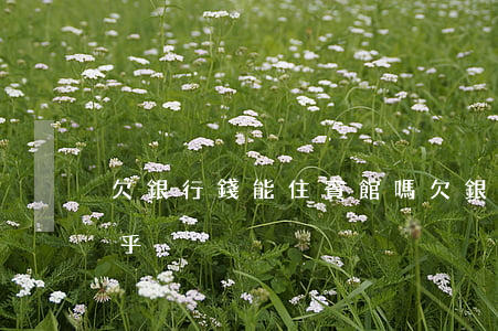 欠銀行錢能住賓館嗎(欠銀行錢能住賓館嗎知乎)