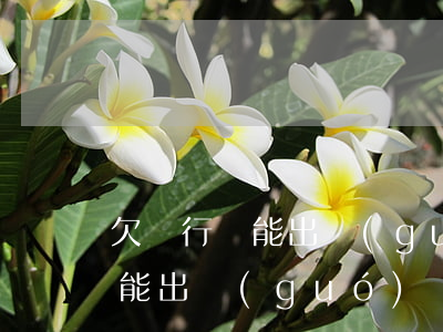欠銀行錢能出國(guó)打工嗎（欠銀行錢能出國(guó)）