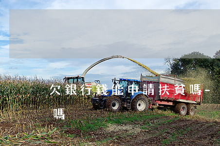 欠銀行錢能申請扶貧嗎-欠銀行錢能過政審嗎