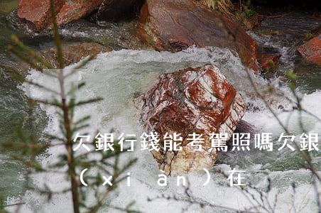 欠銀行錢能考駕照嗎(欠銀行錢能考駕照嗎現(xiàn)在)