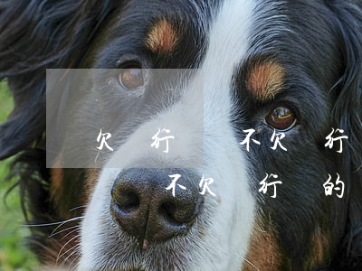 欠銀行錢與不欠銀行錢的對比圖片-欠銀行錢與不欠銀行錢的對比圖片大全