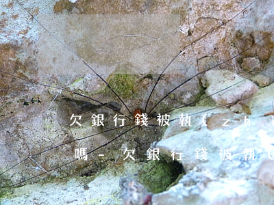 欠銀行錢被執(zhí)行了錢直接還銀行嗎-欠銀行錢被執(zhí)行了錢直接還銀行嗎會凍結(jié)嗎