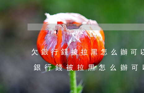 欠銀行錢被拉黑怎么辦可以不還利息嗎-欠銀行錢被拉黑怎么辦可以不還利息嗎