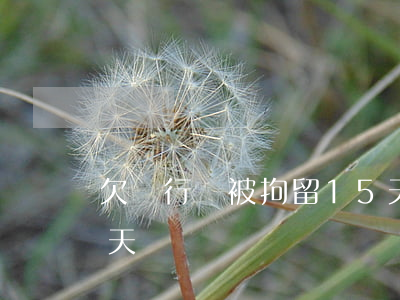 欠銀行錢被拘留15天(欠銀行錢被拘留15天)