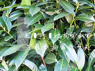 欠銀行錢被拘留到哪里-欠銀行的錢被拘留了最多拘留多少天