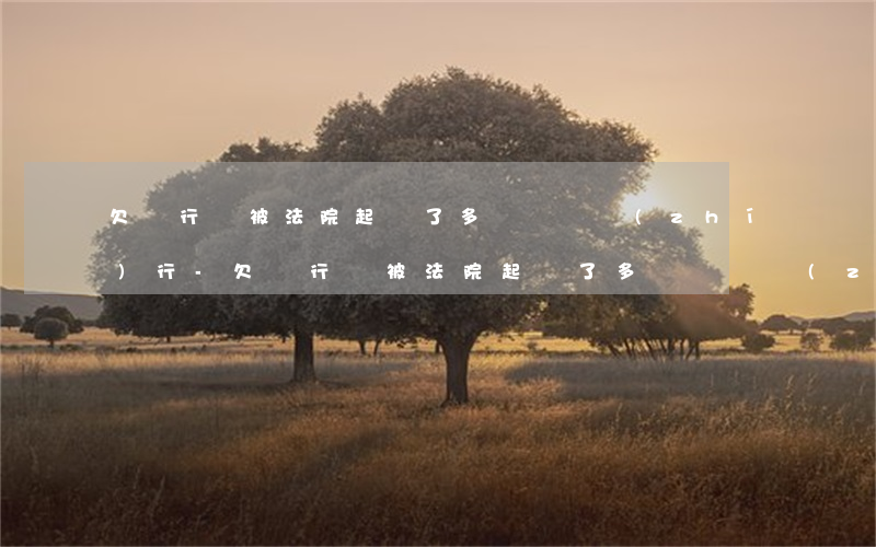 欠銀行錢被法院起訴了多長時間執(zhí)行-欠銀行錢被法院起訴了多長時間執(zhí)行呢