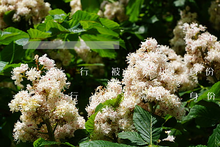欠銀行錢被法院起訴,身份證有不良記錄-欠銀行錢被法院起訴,身份證有不良記錄怎么辦