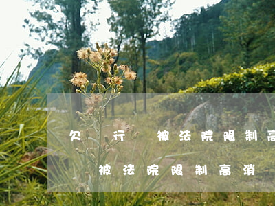 欠銀行錢被法院限制高消費怎么辦-欠銀行錢被法院限制高消費怎么辦呢