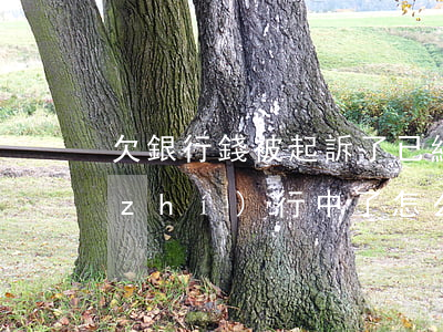 欠銀行錢被起訴了已經(jīng)在執(zhí)行中了怎么辦-欠銀行錢被起訴了已經(jīng)在執(zhí)行中了怎么辦呢