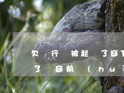 欠銀行錢被起訴了庭下和解(欠銀行錢被起訴了開庭前會(huì)調(diào)解嗎)