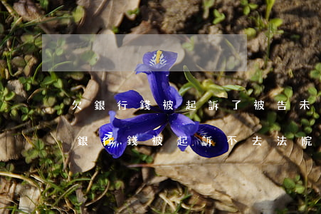 欠銀行錢被起訴了被告未到場上網直播-欠銀行錢被起訴不去法院開庭會咋樣