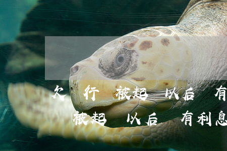 欠銀行錢被起訴以后還有利息沒有-欠銀行錢被起訴以后還有利息沒有了怎么辦