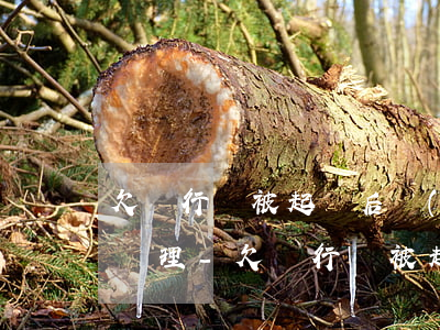 欠銀行錢被起訴后應(yīng)該怎么樣處理-欠銀行錢被起訴后應(yīng)該怎么樣處理會(huì)查封抖音帳戶嗎