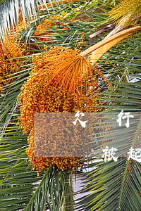 欠銀行錢被起訴后還款有得商量嗎-欠銀行錢被起訴后還款有得商量嗎法院