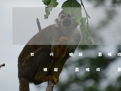 欠銀行錢被起訴直接成為黑名單嗎-欠銀行錢被起訴直接成為黑名單嗎怎么辦