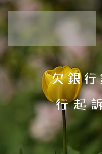 欠銀行錢被銀行起訴一般要多久(欠銀行錢銀行起訴了會怎么樣呢)