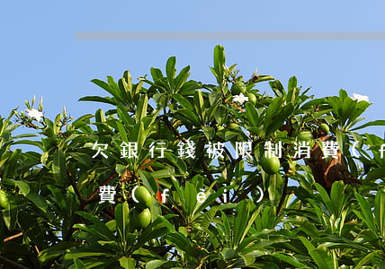 欠銀行錢被限制消費(fèi)(欠款限制消費(fèi))