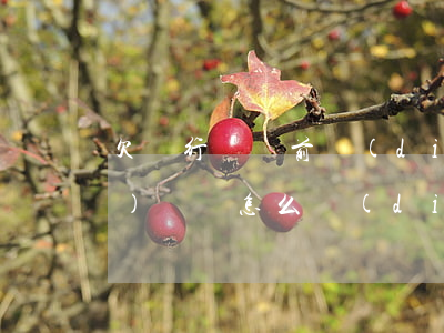 欠銀行錢訴前調(diào)解沒(méi)錢還怎么調(diào)解-欠銀行錢訴前調(diào)解沒(méi)錢還怎么調(diào)解呢