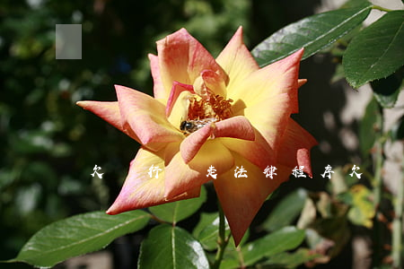 欠銀行錢走法律程序(欠銀行錢的法律后果)