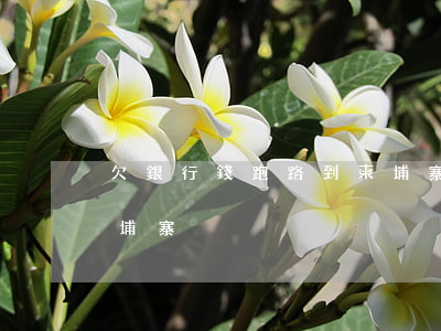 欠銀行錢跑路到柬埔寨(很多欠債的人跑到柬埔寨)