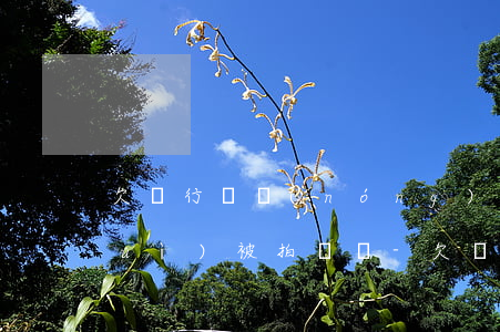 欠銀行錢農(nóng)村的宅基地會(huì)被拍賣嗎-欠銀行錢農(nóng)村宅基地會(huì)不會(huì)被拍賣