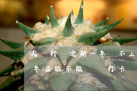 欠銀行錢逾期一年還不上一建能考-逾期一年后能不能辦銀行卡
