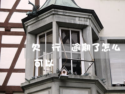 欠銀行錢逾期了怎么辦(逾期欠銀行錢慢慢還可以嗎)
