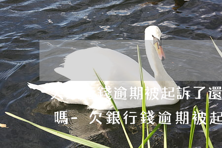 欠銀行錢逾期被起訴了還能協(xié)商嗎-欠銀行錢逾期被起訴了還能協(xié)商嗎怎么辦