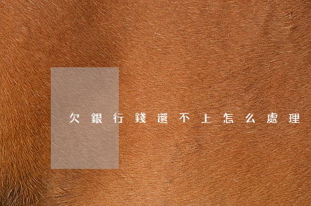 欠銀行錢還不上怎么處理