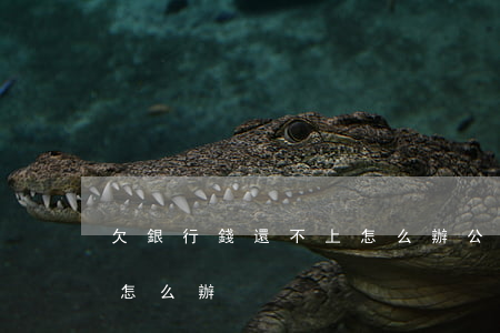 欠銀行錢還不上怎么辦(公司欠銀行錢還不上怎么辦)