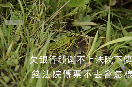 欠銀行錢還不上法院下傳票怎么辦-欠銀行錢法院傳票不去會怎樣
