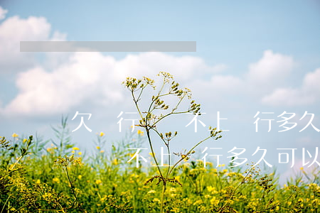 欠銀行錢還不上銀行多久可以起訴-欠銀行錢還不上銀行多久可以起訴呢