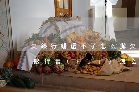 欠銀行錢還不了怎么辦(欠了銀行錢還不起了 銀行會(huì)怎么辦)