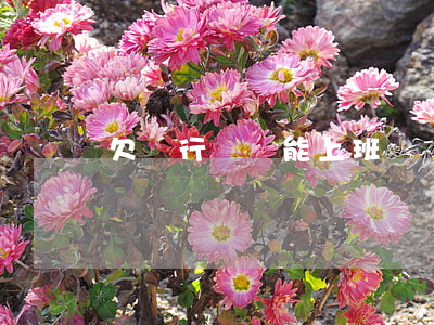 欠銀行錢還能上班嗎