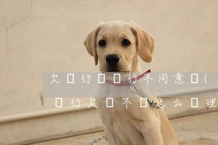 欠銀行錢銀行不同意協(xié)商怎么辦(銀行欠錢不給怎么處理)
