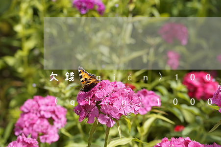 欠錢(qián)1000可以訴訟嗎(欠錢(qián)1000元可以起訴嗎)