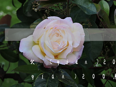 欠錢(qián)200可以起訴嗎 欠錢(qián)200怎么辦
