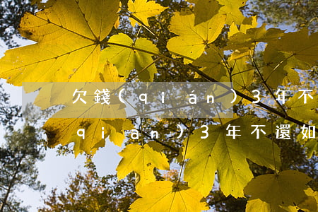 欠錢(qián)3年不還如何起訴(欠錢(qián)3年不還如何起訴他)