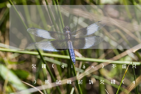 欠錢(qián)不還只有轉(zhuǎn)賬記錄起訴（欠錢(qián)不還如何起訴流程只轉(zhuǎn)賬記錄）