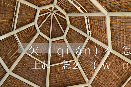 欠錢(qián)不還怎么網(wǎng)上起訴(怎么網(wǎng)上起訴欠錢(qián)不還的人)
