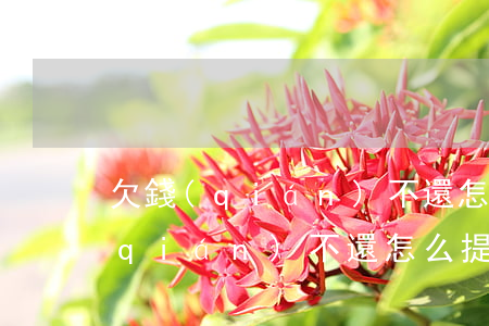 欠錢(qián)不還怎么起訴流程(欠錢(qián)不還怎么提起訴訟)