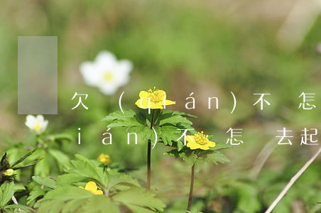 欠錢(qián)不還怎樣去起訴(欠錢(qián)不還怎樣去起訴對(duì)方)