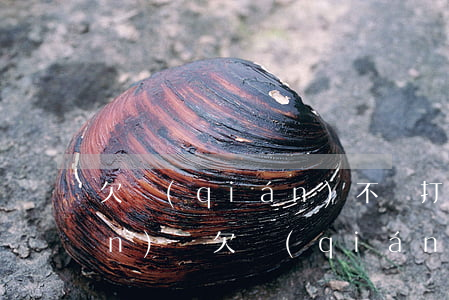 欠錢(qián)不還打官司要錢(qián)嗎（欠錢(qián)不還打官司花錢(qián)嗎）