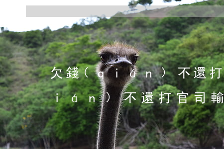 欠錢(qián)不還打官司輸了 欠錢(qián)不還打官司輸了執(zhí)行后立馬還錢(qián)影響征信嗎
